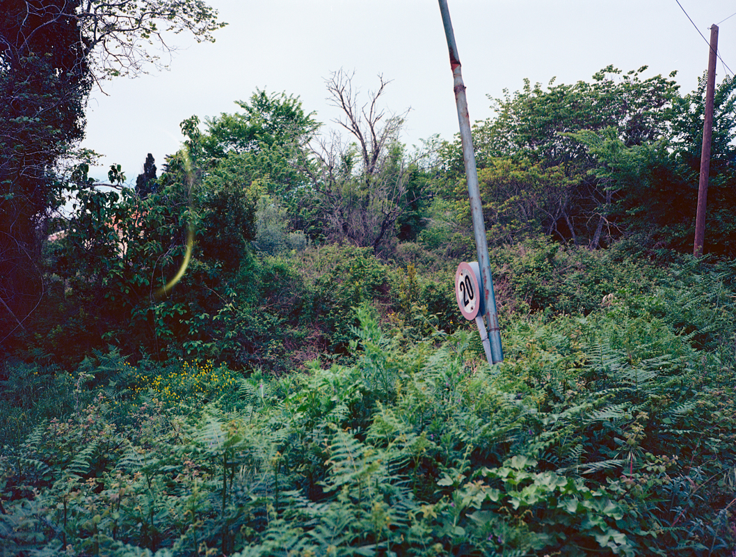 Image of a speed sign